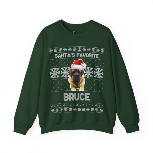 Santa's Favorite Pet Sweatshirt - Personalized
